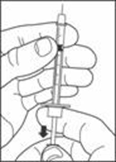 Image Of How To Draw Step 6 (Image 6a)